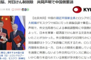 【5月】プーチン「習さん日本挑発してやりましょうよｗ」習近平「いや日本を刺激したくない」