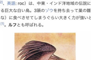 麦わらのルフィさん伝説の怪鳥ロック鳥ルフがモデルだったwwww