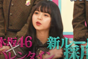 【乃木坂46】『ロビー活動』←これマジでいい企画だよな？？？