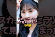 【1月4日の人気記事10選】 スカートがヒラリして見えてしまった川崎桜 #乃木坂… ほか【乃木坂・櫻坂・日向坂】