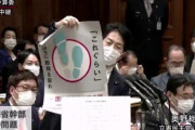 【国会】立憲民主党「私だって、総務省幹部接待問題やりたくないんですよ。コロナの問題をきっちりやりたい！」