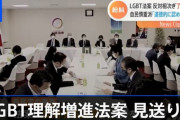 自民党保守系議員がLGBTを完全否定「道徳的に許されない。人間は生物学上、種の保存が必要。LGBTはそれに背く」→賛否両論に