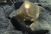 アラスカ州沖の海底で正体不明の物体「黄金の卵」を発見？…米国で話題に！
