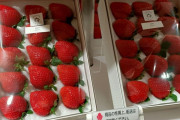 外国人「俺が日本で食べたイチゴのボックスを見てくれ！」