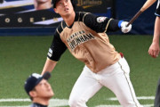 【悲報】北海道日本ハムファイターズ、シーズン二桁本塁打０人達成へ