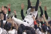 海外「日本の完全勝利！！」プレミア12で見事に優勝を果たした日本代表に海外からも祝福の声！-海外の反応