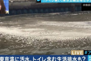 ルフィ「東京湾の牡蠣うんめェ〜ッ！」サンジ「…」