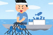 漁師「はあはあ、やっと魚釣れた…」→年収600万円　Youtuber「さて魚でも捌くか～ｗ」→年収3000万円