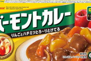 【疑問】バーモントカレーって言うほど美味いか？ｗｗｗｗｗｗｗｗｗｗｗｗｗｗｗｗ