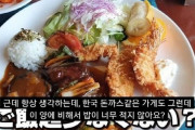 【画像あり】韓国人「日本人が韓国式トンカツを侮辱！」→日本人「これはお子様ランチですか？」　韓国の反応