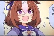 【ウマ娘】ヒーローズがチャンミより楽しいイベントの可能性だってあるだろ！！！！