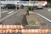 ビッグモーターの街路樹問題、各メディアが一斉に報道し始める
