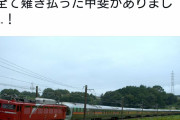【悲報】撮り鉄さん、怒涛の伐採を自慢してしまうｗｗｗｗｗｗ
