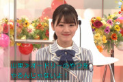 【日向坂46】南キャン山ちゃん「オードリーのやつをやるんじゃないよ！」バラエティー対応をツッコまれるw【2020紅白公式ガイド】