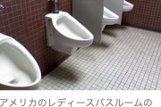 どう使う？女性用小便器の秘密！国交省の新提案が波紋