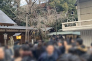 乃木神社に乃木坂46メンバーがお参りに！