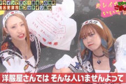【画像】 木更津のヤンキー女2人組「てかあーしたちとヤんの？ｗｗｗｗ」