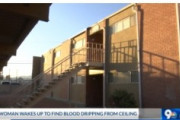 女性「ギャーッ！血！！！！！」天井から上階で亡くなった人の血液が落ちてきて目を覚めトラウマになる　アメリカ