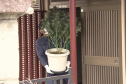 【群馬】大麻草５００鉢を民家で栽培　グエン容疑者ら１０人逮捕　営利目的での栽培と見られる