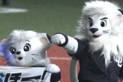 西武、52試合目で30勝到達！2年前は104試合目で到達