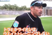 イチロー「トラやライオンはウェイトトレーニングしない」←流石に暴論だろ