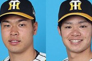【阪神】佐藤と中野伊藤の年俸ってどっちが上になると思う？