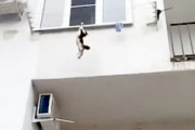 高所から落下したネコちゃんをナイスキャッチした男のGJ動画。