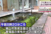 池の鯉に餌をあげていた警備員が背後からクマに襲われ頭にけが・福井