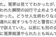 【画像】俺『ん？これは冤罪だな…』→電車で「チカンです」と女が絶叫→俺は一部始終を見てたので声を掛けようとした→しかし男は逆上してしまい女を全力で殴り出した→結果…
