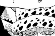 【ONEPIECE -ワンピース】トラファルガー・ロー「”D”はまた必ず嵐を呼ぶ………へへ…」←お前もDだろｗｗｗｗｗ
