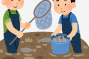 【生態系】外来種は果たして悪者なのか？　「池の水ぜんぶ抜く」の疑問点と課題点