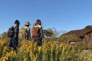 【乃木坂46】「映像研には手を出すな！」この画像エモい・・・・・