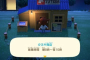 【あつまれどうぶつの森】22時過ぎてタヌキ商店閉まったら、もうお金を稼ぐ手段ない？