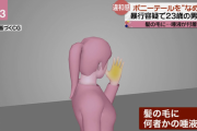【画像】ポニーテールをしゃぶった男、逮捕ｗｗｗｗｗ
