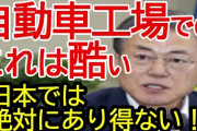 ヒュンダイの日本再進出…韓国国民の信用ゼロだから行った空しい衝突実験の顛末　  [8/17]
