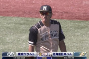 【練習試合vsヤクルト】日ハム、大田が打球処理を手間取る間に1点差に詰め寄られる…