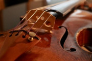 【バイオリン】 ストラディバリウスの秘密解明にまた新たな一歩