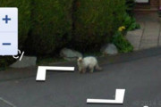 今は亡き、愛する人やペットの姿が！偶然Googleストリートビューにとらえられていた、心にグッとくる思い出のメモリー