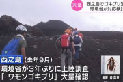 西之島また大きくなるらしい　三か月ぶりに噴火