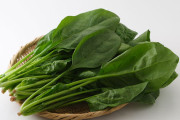 ほうれん草とかいう安くて上手くて栄養もある食べ物ｗｗｗｗｗｗ