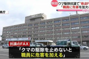 【悲報】クマ駆除抗議人、ついに一線を越えてしまう・・・