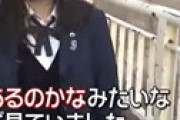 橋から飛び降りようとしていた男性をJKが説得、警察から表彰される ⇒ 「人生楽しそうな他人が勝手に止めてウキウキするな」というツイートが物議