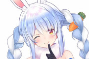 【朗報】大人気Vtuber・兎田ぺこらさん、余りにも器がデカすぎるｗｗｗｗｗｗ