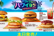 マックの期間限定バーガー大体うまくない説