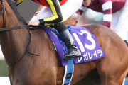 【レガレイラ1着】競馬　12/22(日) 第69回有馬記念(GⅠ) part4 ※反省会【2024】