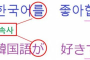 韓国人「日本と韓国は、昔兄弟国？同じ国？」東大研究チーム「韓国語が現在日本語のルーツ」　韓国の反応