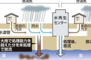 【緊急】東京でとんでもない異変発生・・・・・・・・