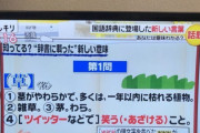 【朗報】「草」、遂に国語辞典に載るｗｗｗｗｗｗ