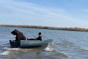 ロシア人女性がヒグマと手漕ぎボートで釣りへ！ 一緒に釣り糸を垂らす光景がシュールすぎぃ！！
