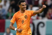 レアル、オランダ代表FWガクポに関心か…カタールW杯では5試合に出場し3得点
